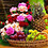 wail_Ghaleb